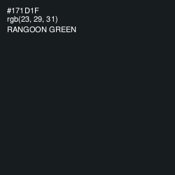#171D1F - Rangoon Green Color Image